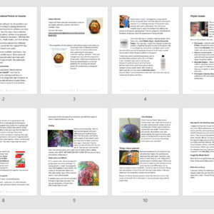 Color Pencils on Gourds