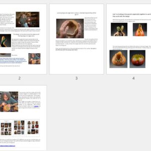 Kristen Treuting: Looking at a Gourd Organically to Find the Right Design Cut