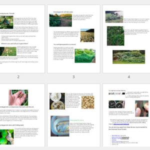 What to Consider When Growing Gourds in Your Backyard