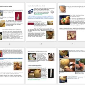 Hazards of Gourd Cleaning and Cutting a Gourd