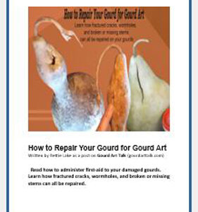 How to Repair Your Gourd for Gourd Art