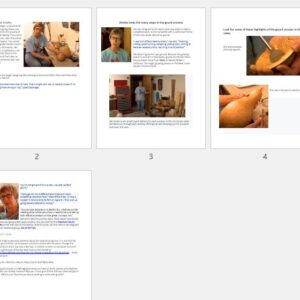 Is Gourd Art for You?